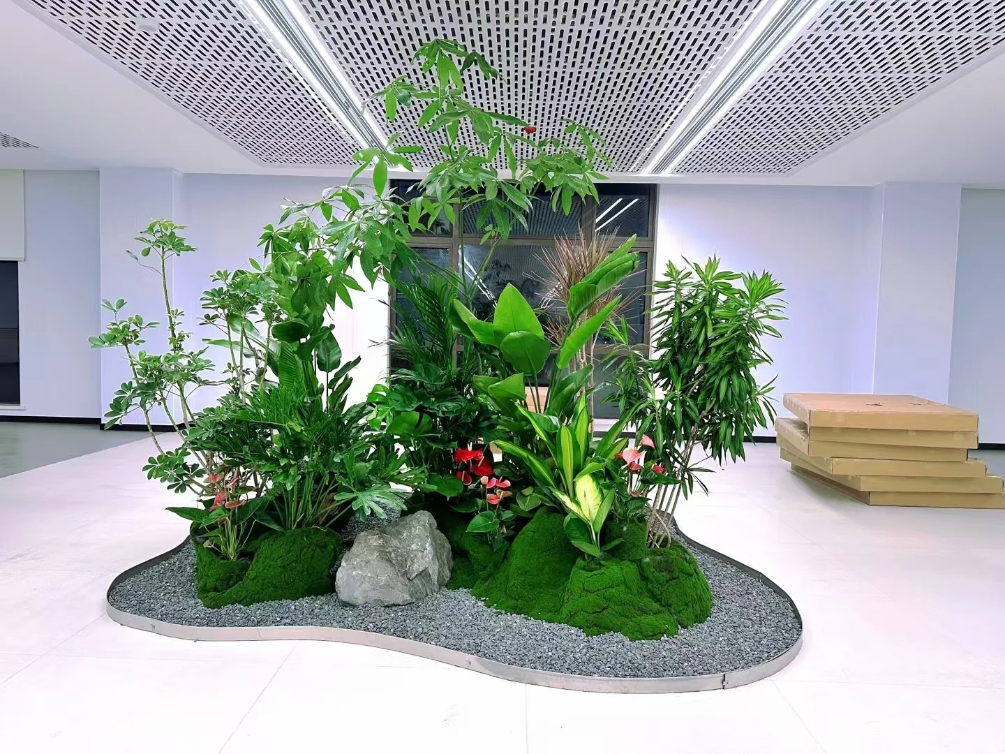 价格实惠的宁波江北盆景租赁，速来！